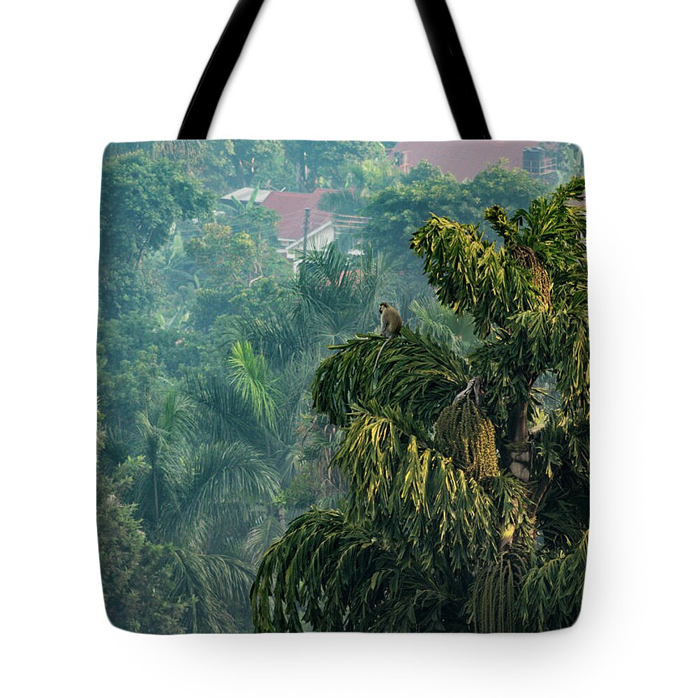 Africa Tote Bag featuring the photograph King of His Kingdom by Tim Dussault