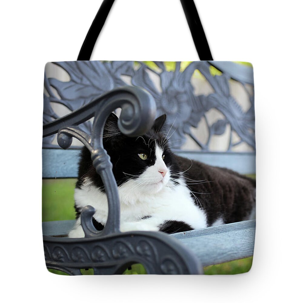 Cat Tote Bag featuring the photograph King of The Bench by K R Burks