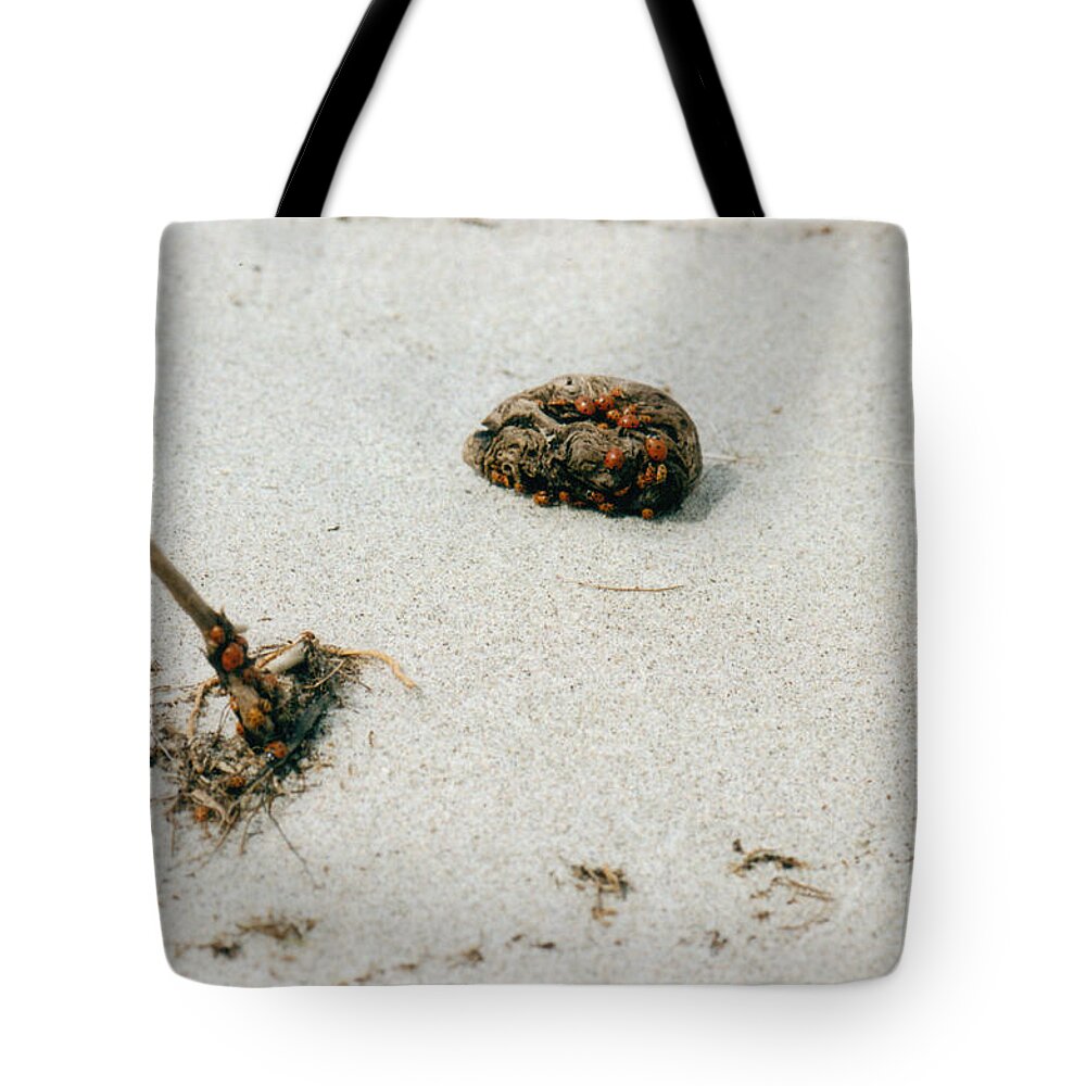 Stone Tote Bag featuring the photograph King of the Castle by Mary Mikawoz