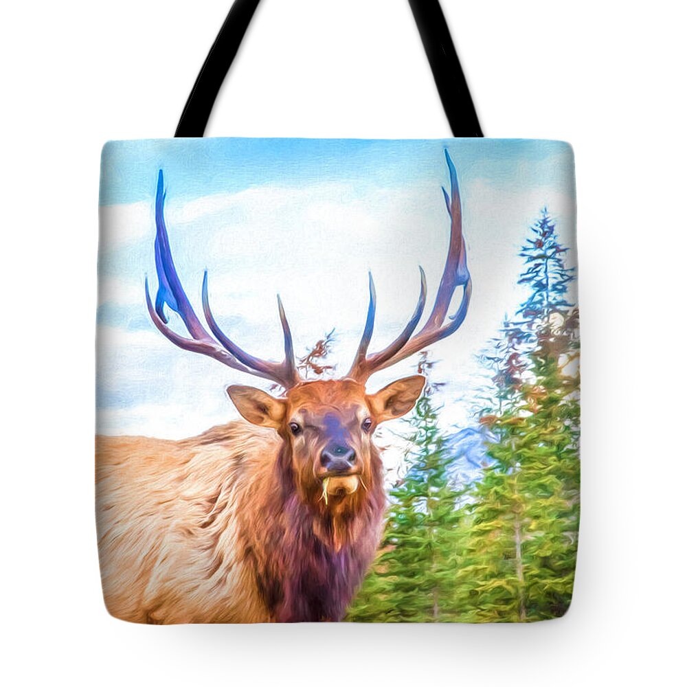 Nature Tote Bag featuring the photograph King of the Forest by Judy Wright Lott