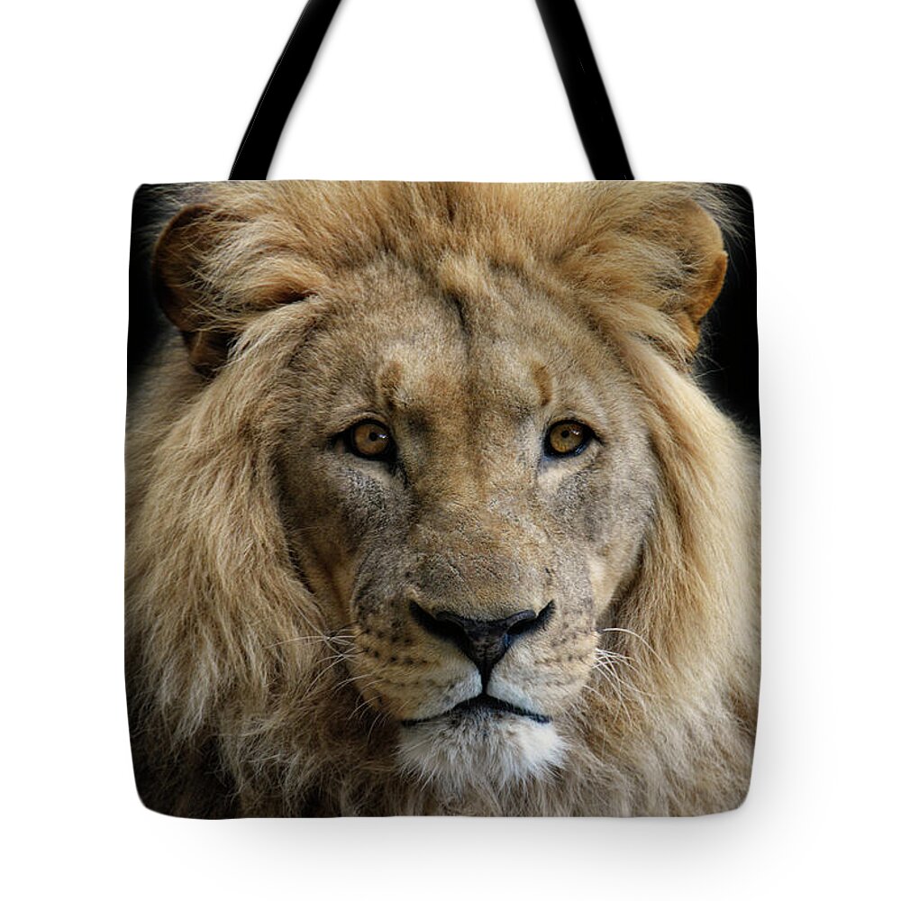 Animals Tote Bag featuring the photograph King Without A Crown by Joachim G Pinkawa