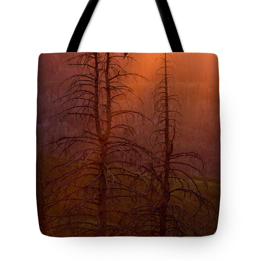 Utah Tote Bag featuring the photograph Kingdom by Dustin LeFevre