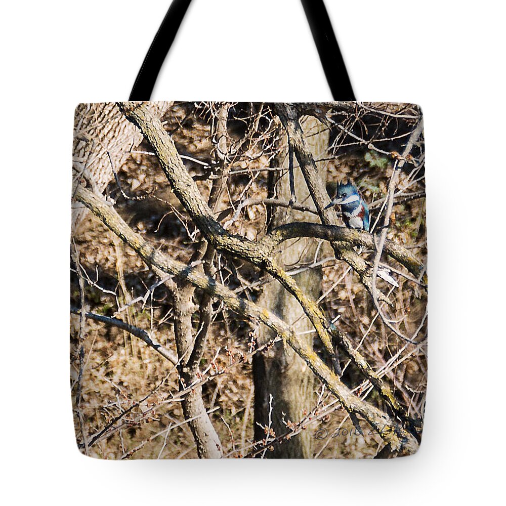 Kingfisher Tote Bag featuring the photograph Kingfisher Hunting by Ed Peterson