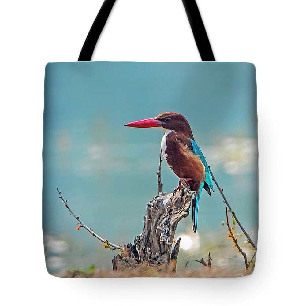 Bird Tote Bag featuring the photograph Kingfisher on a stump by Pravine Chester