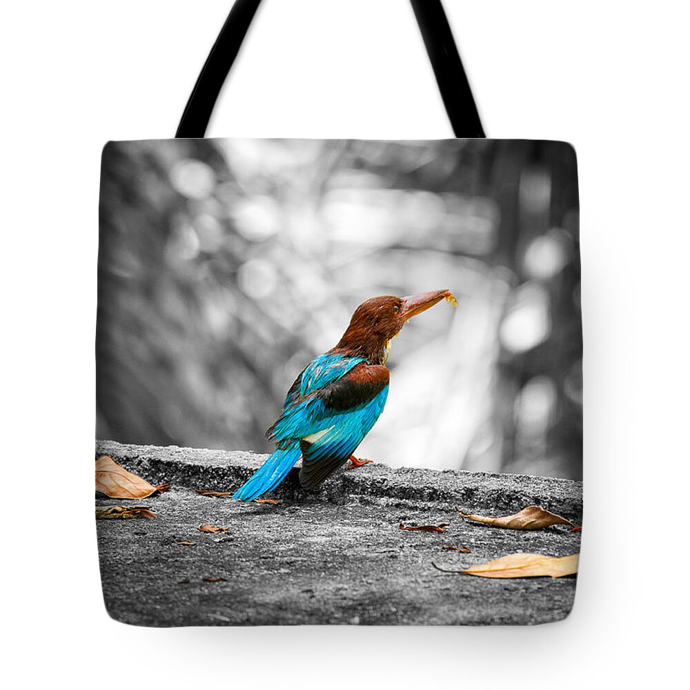 Kingfisher Carrying A Prey Tote Bag featuring the photograph Kingfisher by Venura Herath