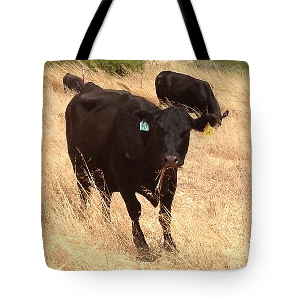 Nofilter Tote Bag featuring the photograph Cows by Nancy Ingersoll