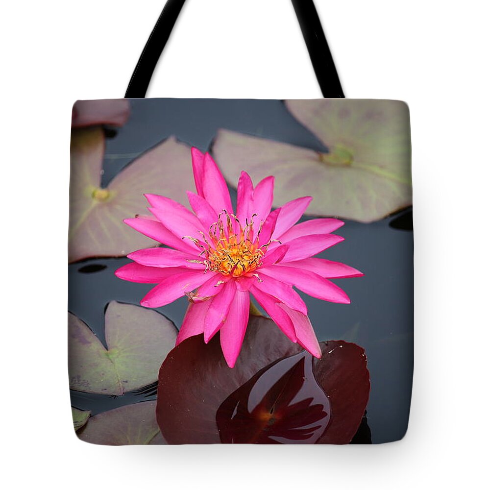  Tote Bag featuring the photograph Kinky Stamens by Ron Monsour