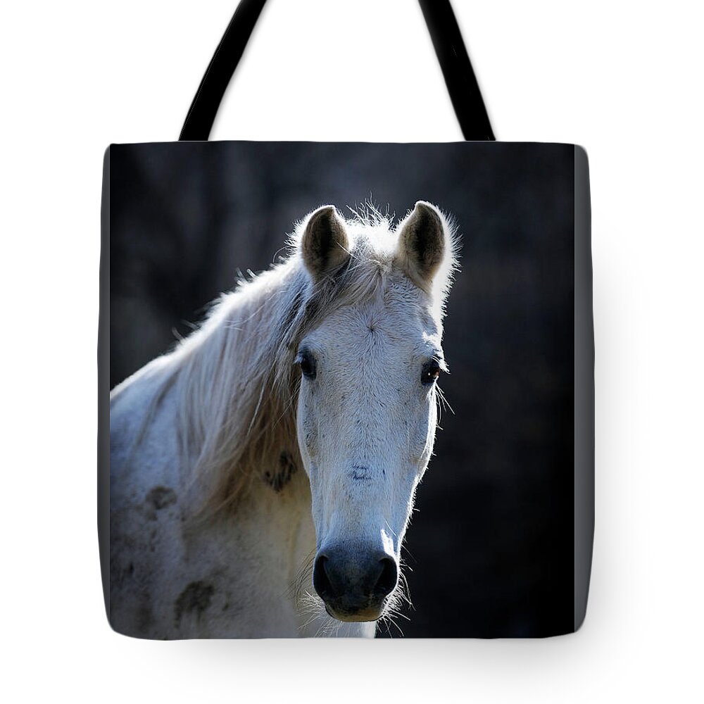Rosemary Farm Tote Bag featuring the photograph Kismet by Carien Schippers