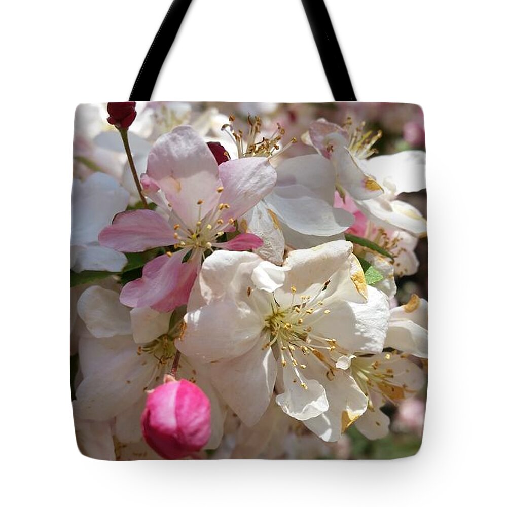Apple Tote Bag featuring the photograph Kiss Me Pink by Caryl J Bohn