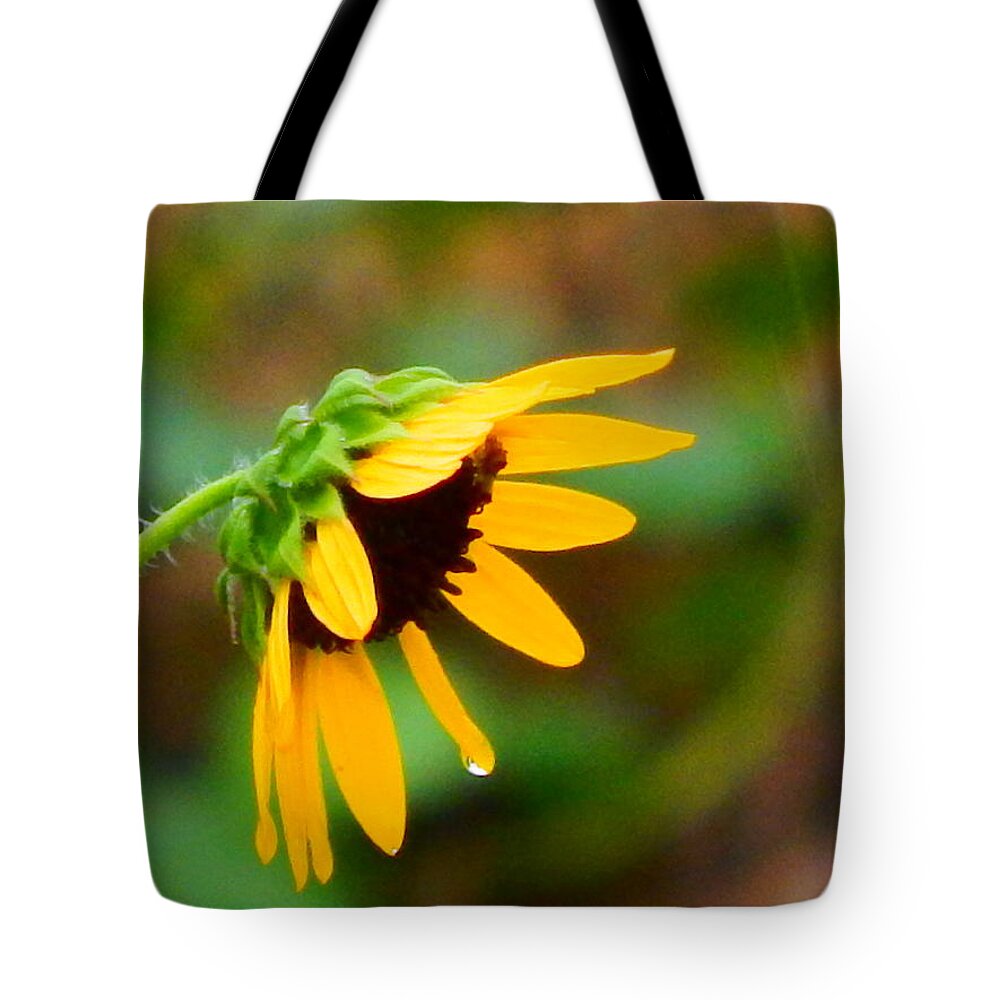 Sun Tote Bag featuring the photograph Kissed By Rain by Virginia White