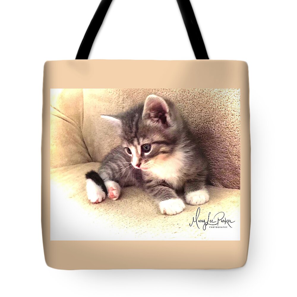 Photograph Tote Bag featuring the photograph Kitten Deep In Thought by MaryLee Parker
