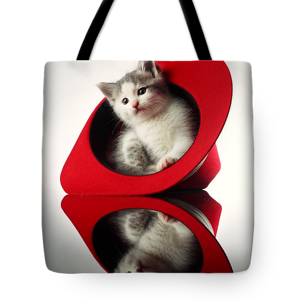 Kitten Tote Bag featuring the photograph Kitten in the Hat by Judi Quelland