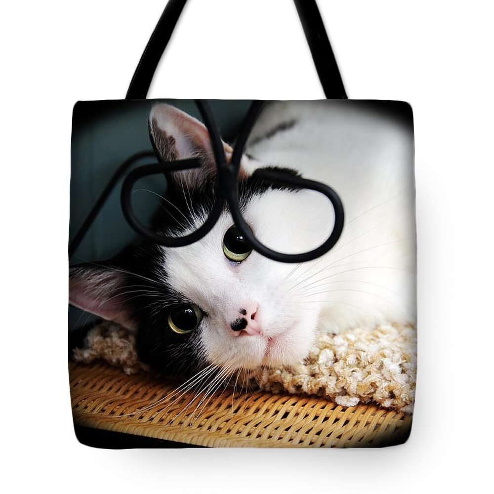 Fine Art Cat Tote Bag featuring the photograph Kitty Cuteness Soft And Sweet by Andee Design