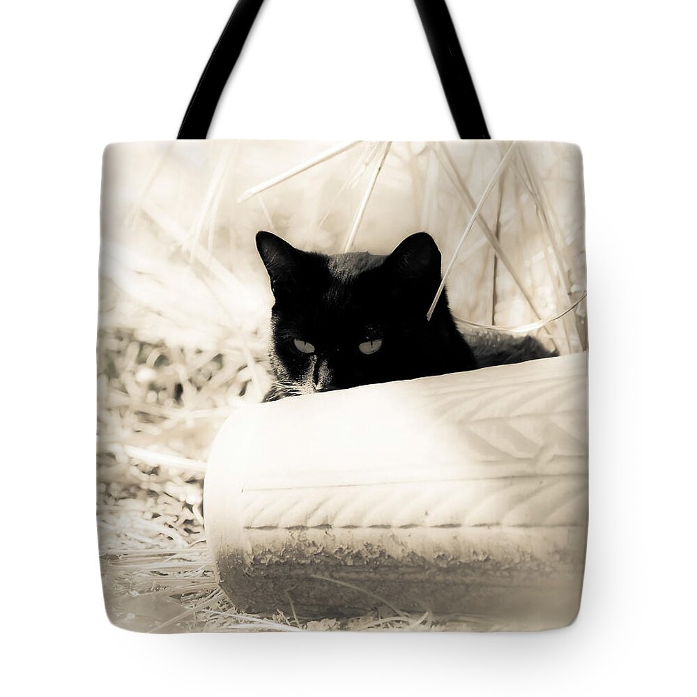 Cat Tote Bag featuring the photograph Kitty Stalks in Sepia by Lori Coleman