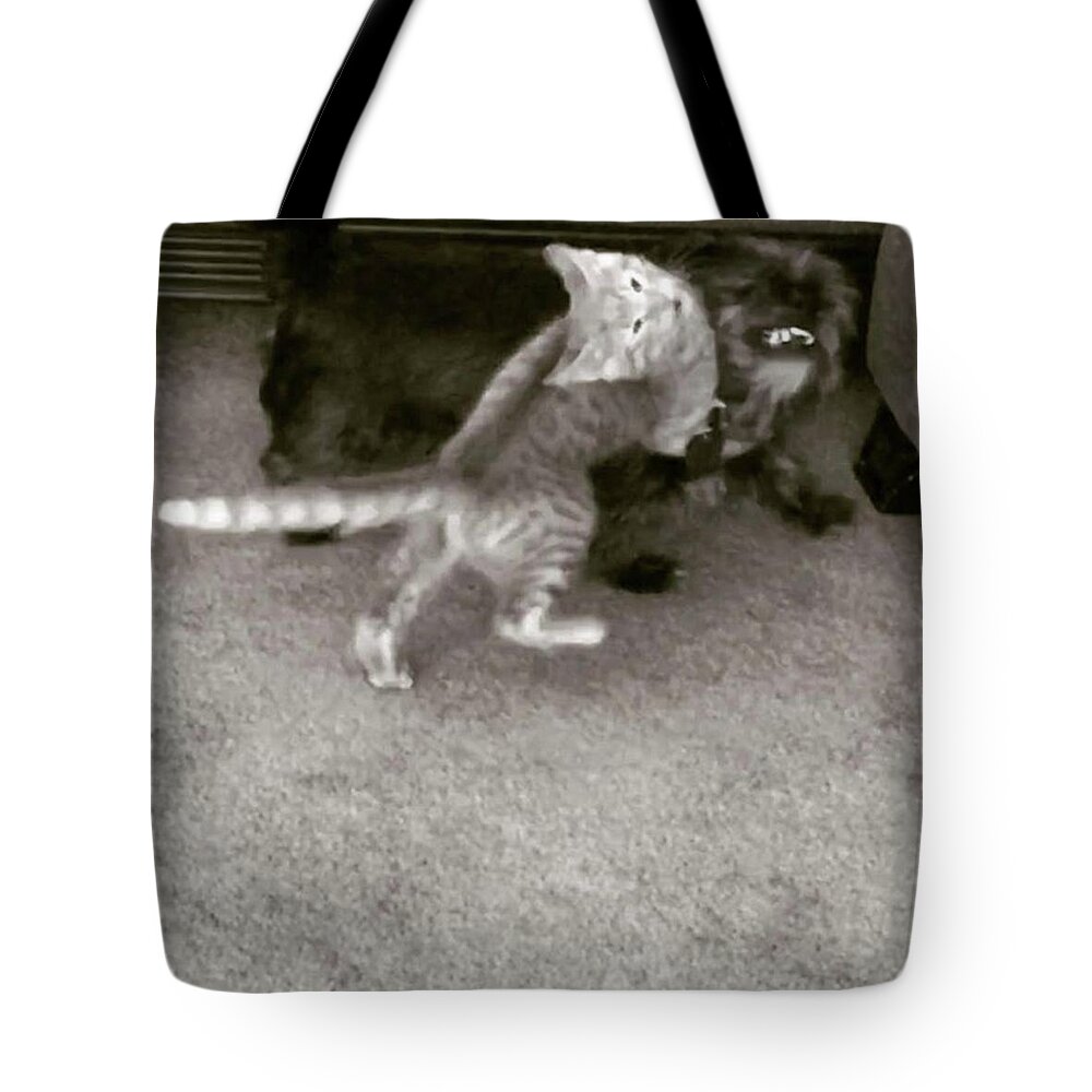 Ninja Tote Bag featuring the photograph #kitty Would Not #teach His #secret by Jerry Renville