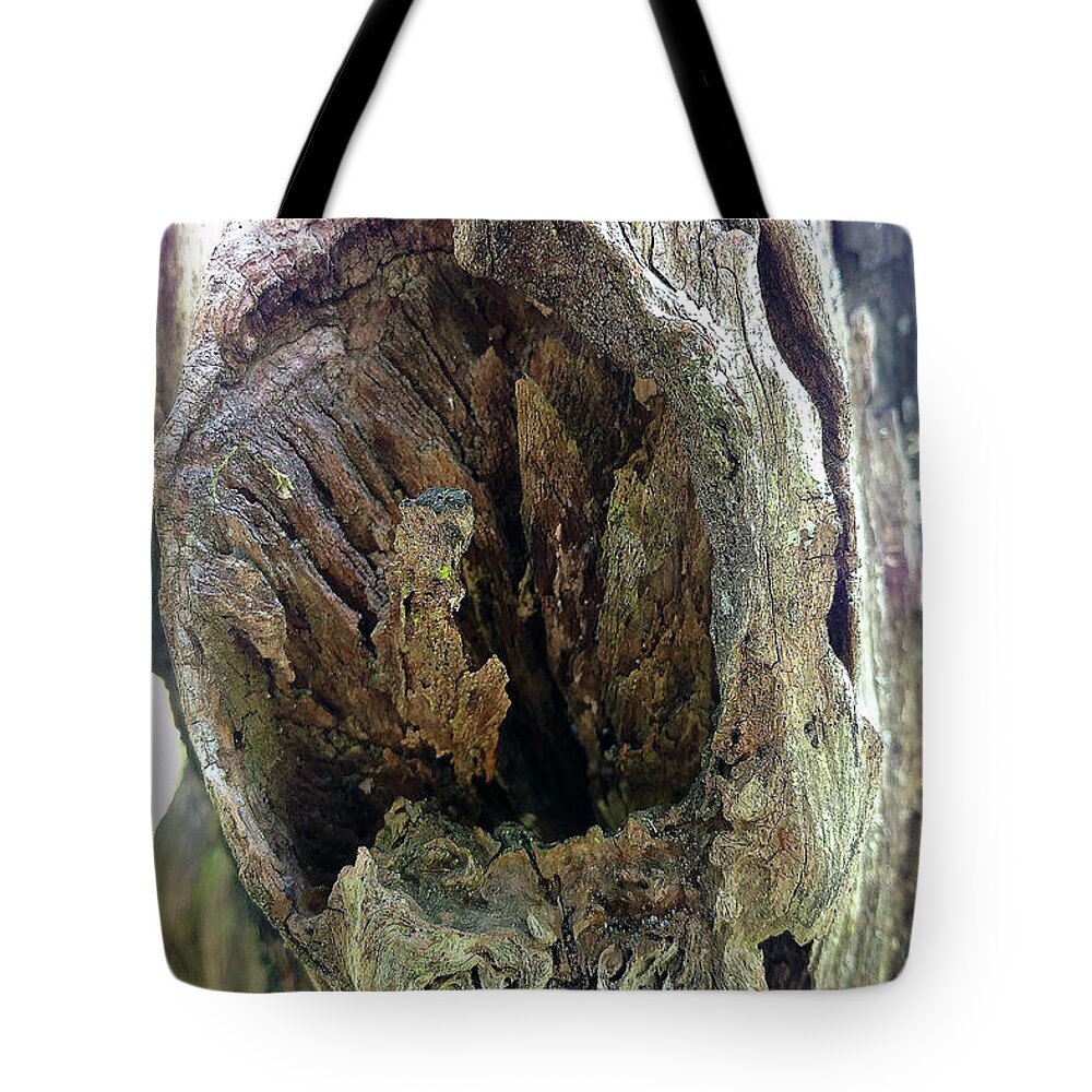 Steve Sperry Mighty Sight Studio Tote Bag featuring the digital art Knot Me by Steve Sperry