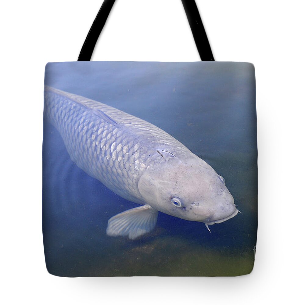  Tote Bag featuring the photograph Koi 2 by Erica Freeman