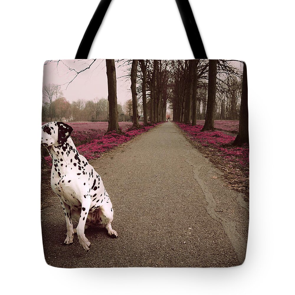 Dalmatian Tote Bag featuring the photograph Kokkie on the Autumn Alley of Rhoon by Jenny Rainbow