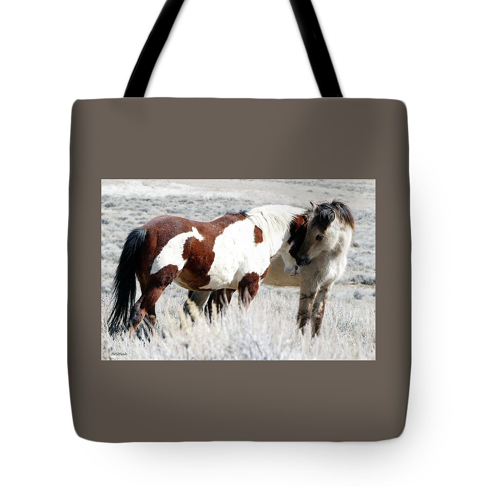 Cindy Wright Tote Bags