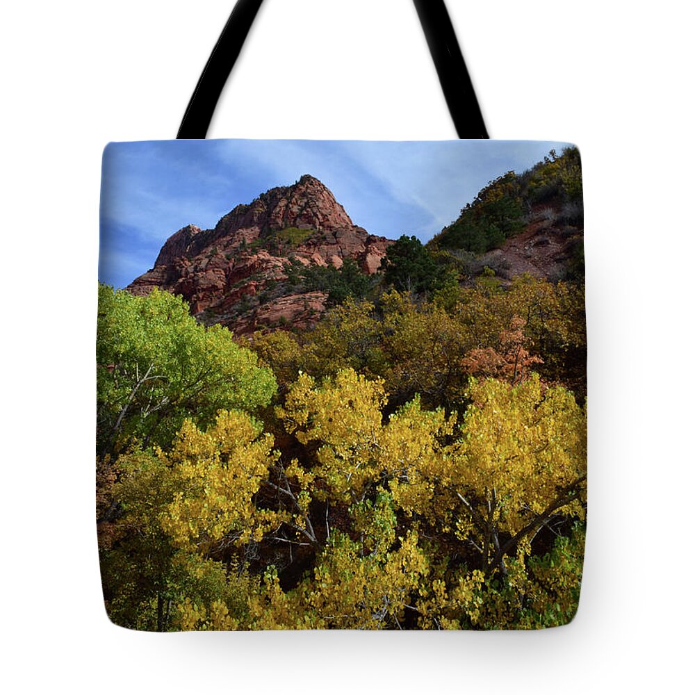 Zion Tote Bag featuring the photograph Kolob Canyon No. 63 by Sandy Taylor