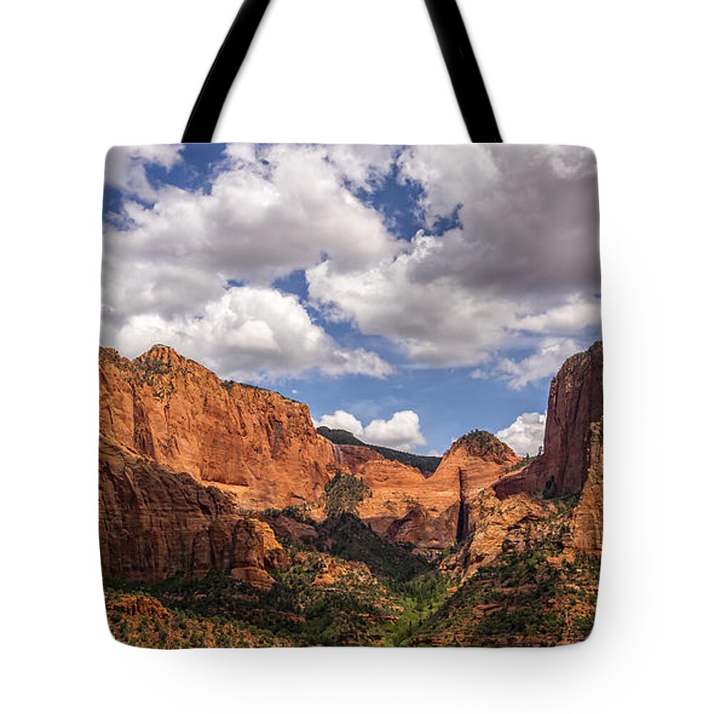 Kolob Canyon Tote Bag featuring the photograph Kolob Canyon Zion National Park by Steve L'Italien