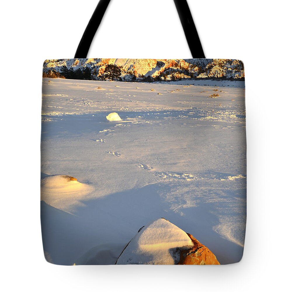 Zion National Park Tote Bag featuring the photograph Kolob Terrace Road by Ray Mathis