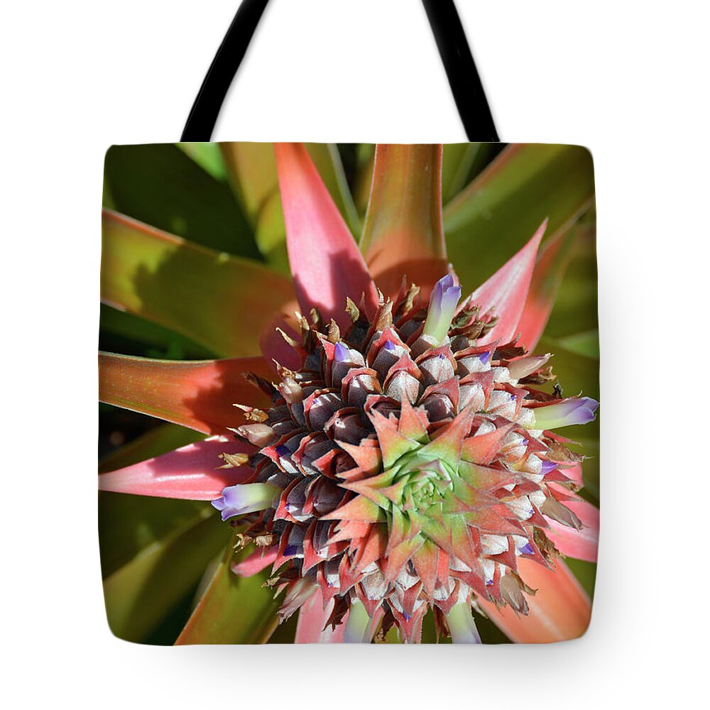 Hawaii Tote Bag featuring the photograph Kona Coffee Living History Farm Top Down View by Bruce Gourley