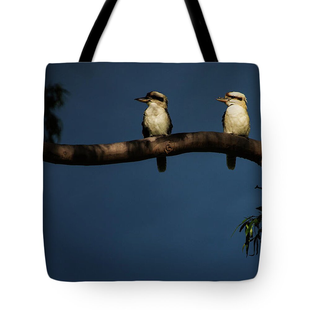 Kookaburra Tote Bag featuring the photograph Kookaburra pair in gum tree by Sheila Smart Fine Art Photography