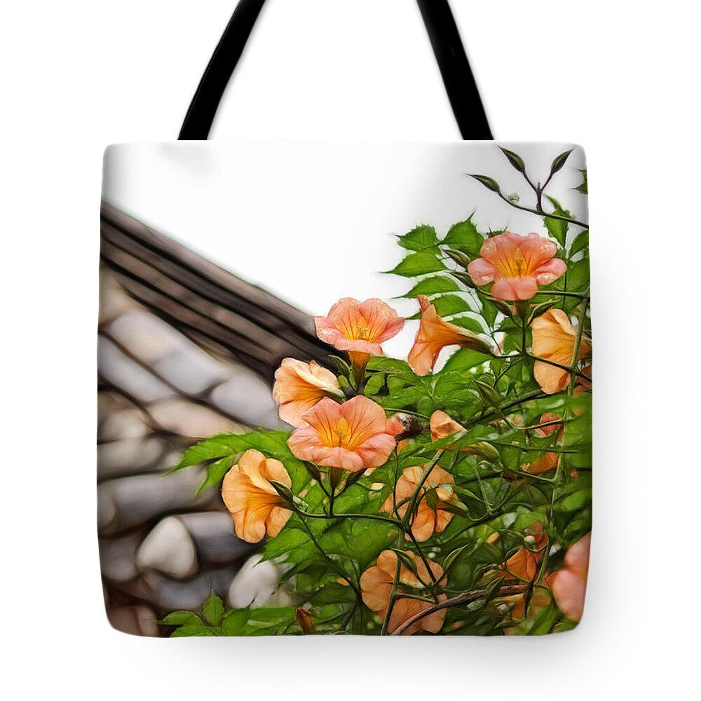 Fractals Tote Bag featuring the photograph Korean Beauty by Cameron Wood