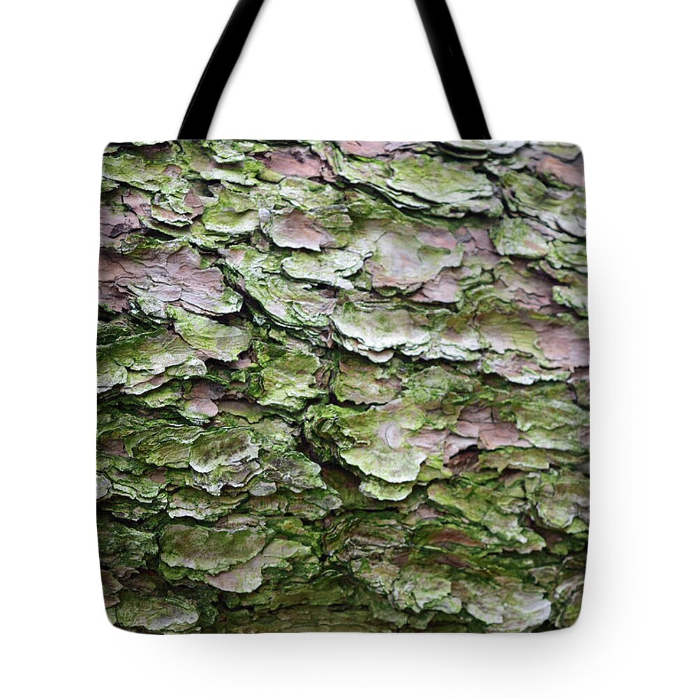 Korean Pine Tote Bag featuring the photograph Korean Pine No. 5-1 by Sandy Taylor