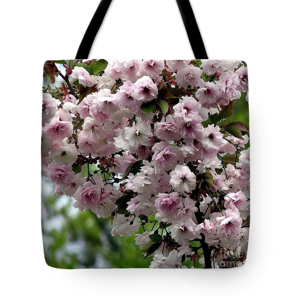 Japanese Cherry Tree Blossoms Tote Bag featuring the photograph Japanese Cherry Tree Blossoms Highland Park Rochester NY Watercolor Effect by Rose Santuci-Sofranko
