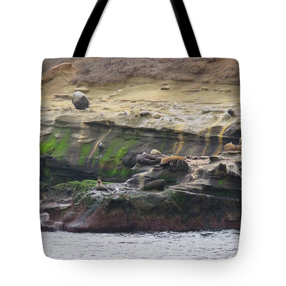 La Jolla Cove Tote Bag featuring the photograph La Jolla Sea Lions by Keith Stokes