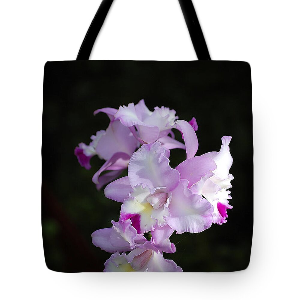 Labellum Tote Bag featuring the digital art Labellum by Don Wright