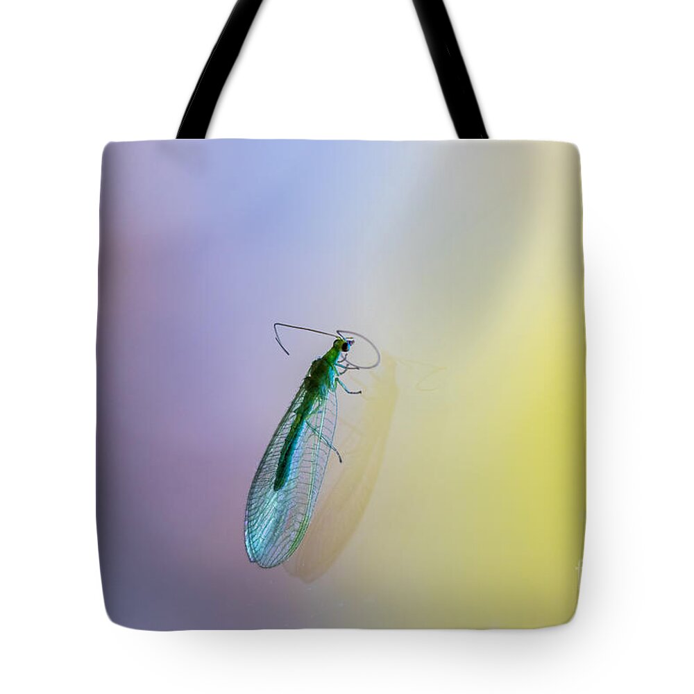 Animal Tote Bag featuring the photograph Lace beauty by Jivko Nakev