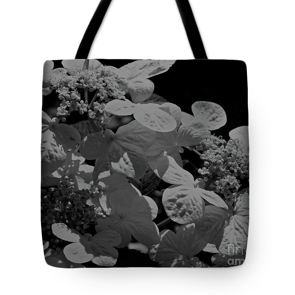 Hydrangea Tote Bag featuring the photograph Lace Cap Hydrangea In Black And White by Smilin Eyes Treasures