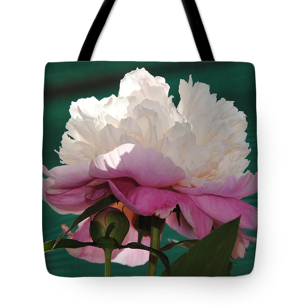 Flower Tote Bag featuring the photograph Lace Peony by Vallee Johnson