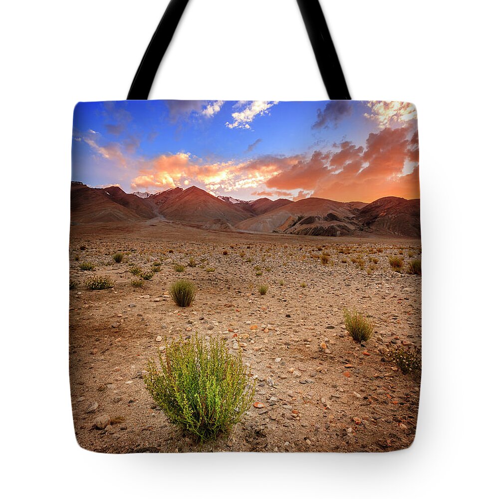 Asia Tote Bag featuring the photograph Ladakh landscape by Alexey Stiop