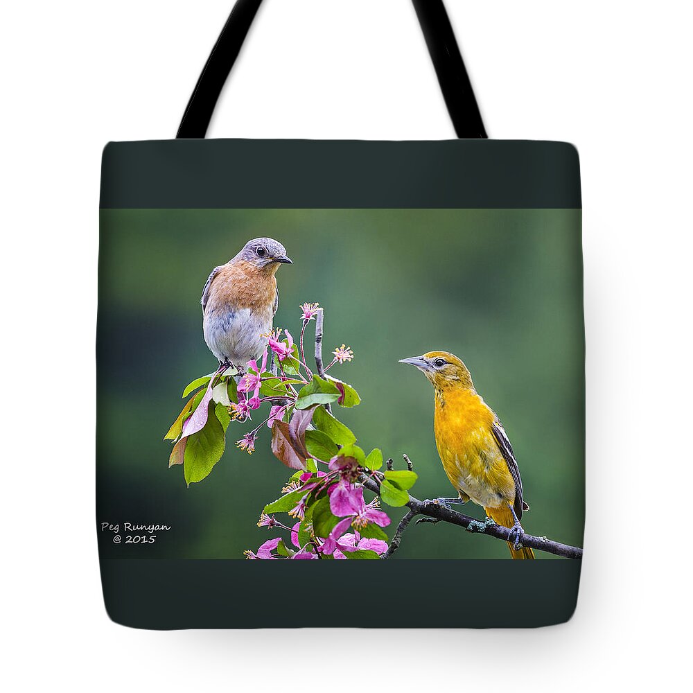 Blue Bird Tote Bag featuring the photograph Ladies on a Limb by Peg Runyan