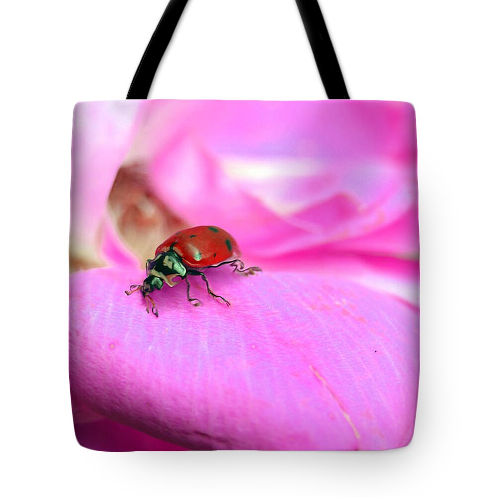 Lady Bug Tote Bag featuring the photograph Lady Bug by Lynellen Nielsen