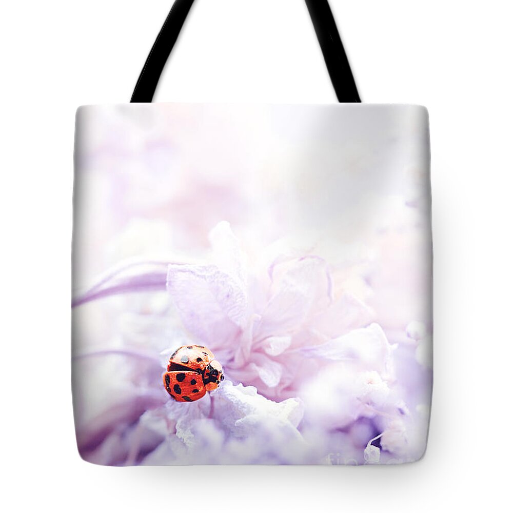 Purple Tote Bag featuring the photograph Lady Bug by Stephanie Frey