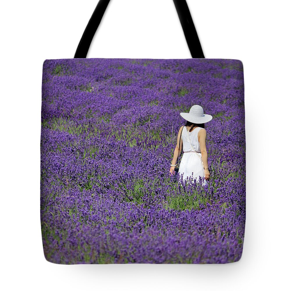 Lady In Lavender Field Tote Bag featuring the photograph Lady in Lavender Field by Julia Gavin