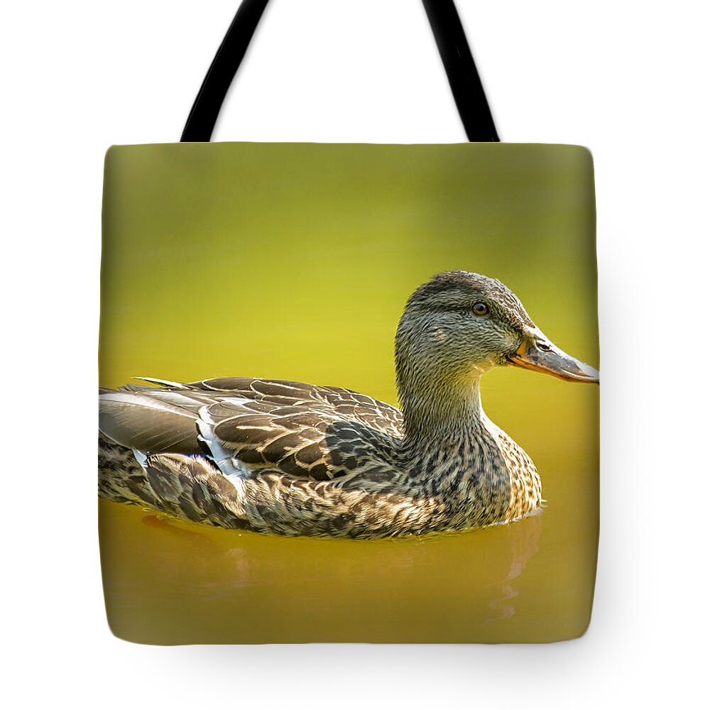 Duck Tote Bag featuring the photograph Lady Mallard On The Pond by Bill and Linda Tiepelman