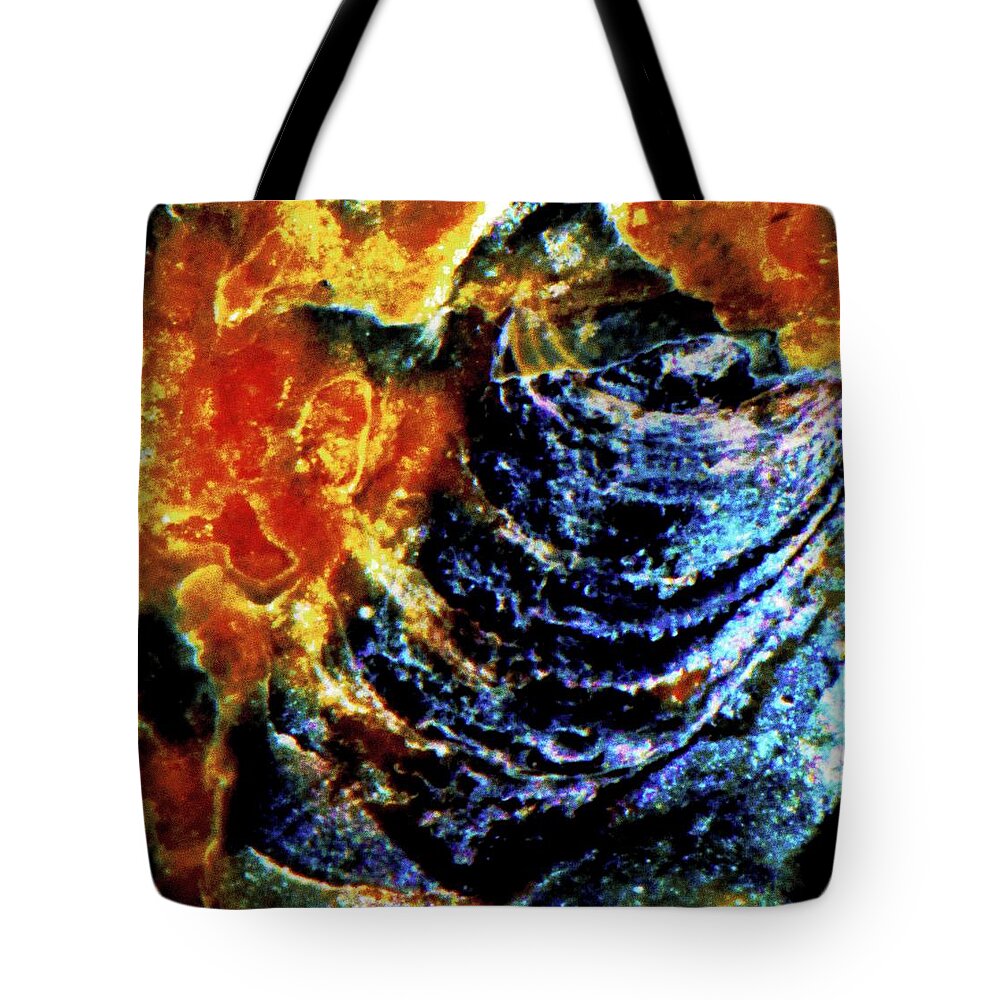 Sea Shell Tote Bag featuring the photograph Lady of the Shell by Gina O'Brien