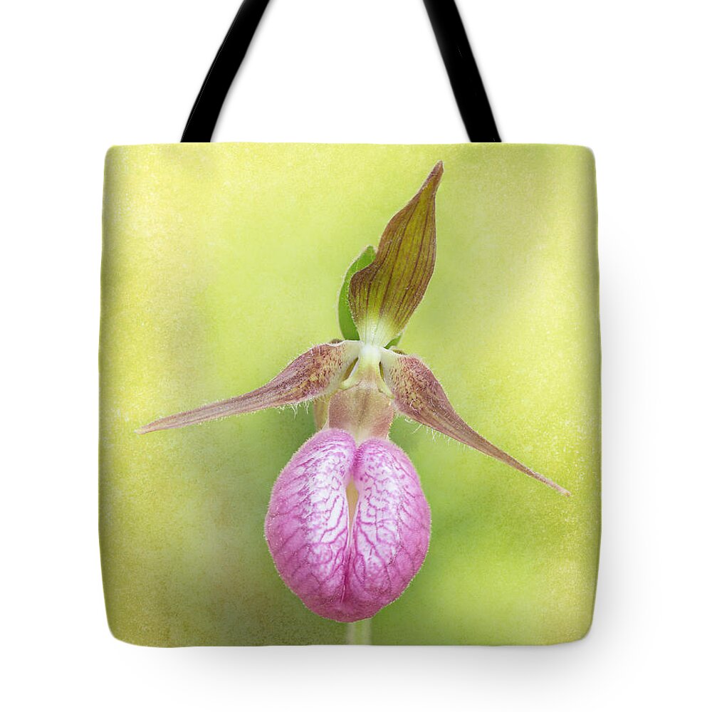 Lady Tote Bag featuring the photograph Lady Slipper Orchid Fantasy by Betty Denise