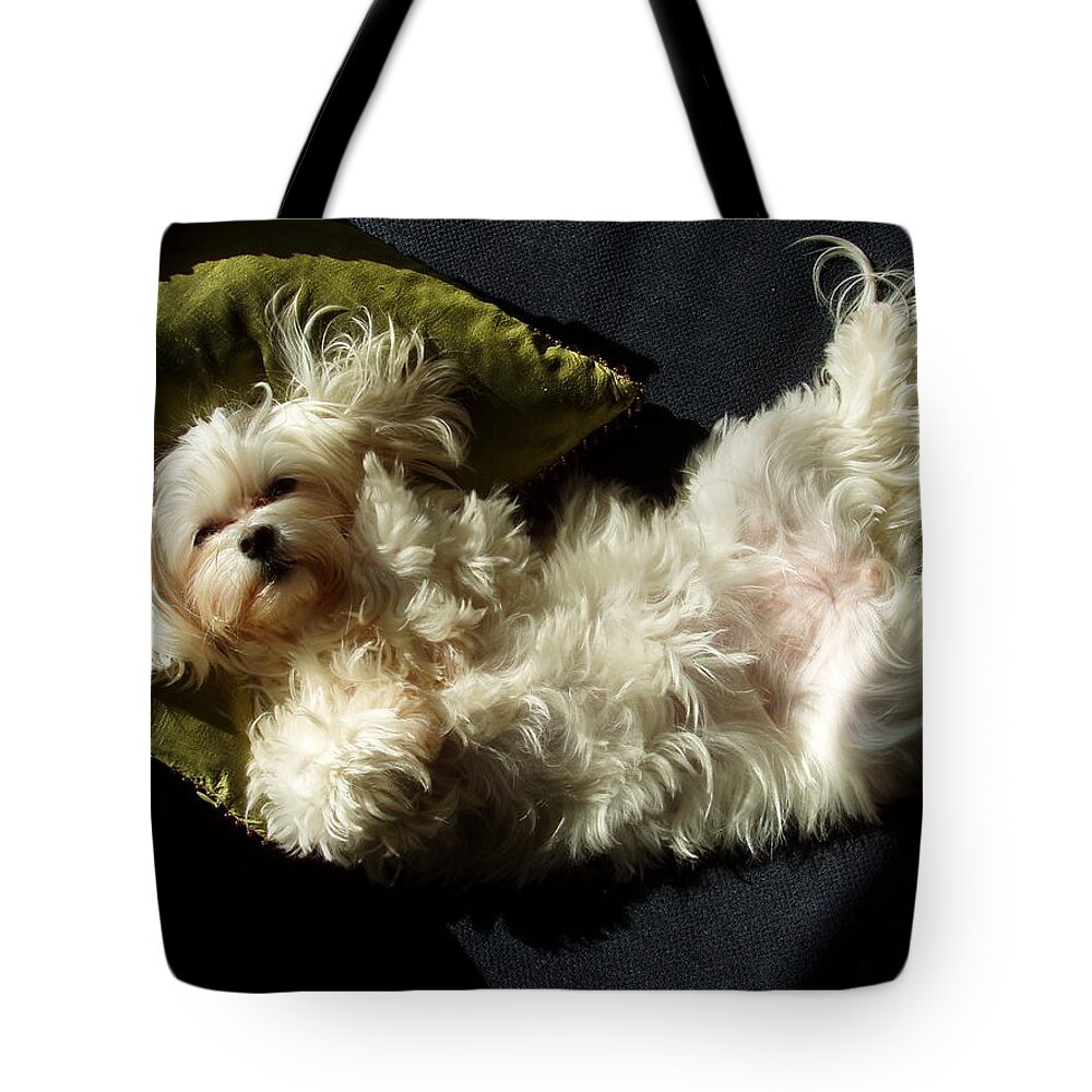 Lady Tote Bag featuring the photograph Lady Sophia by Deborah Crew-Johnson