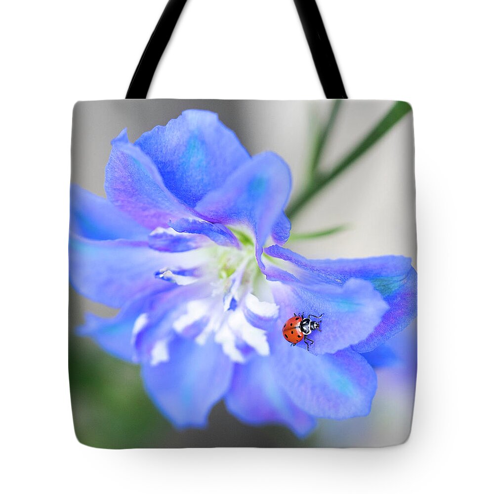 Krohn Conservatory Tote Bag featuring the photograph Ladybug by Cathy Donohoue