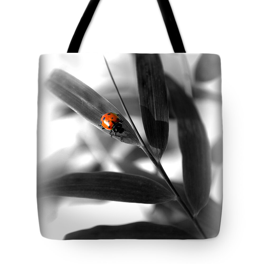 Foliage Tote Bag featuring the photograph Ladybug on Bamboo by Nathan Abbott
