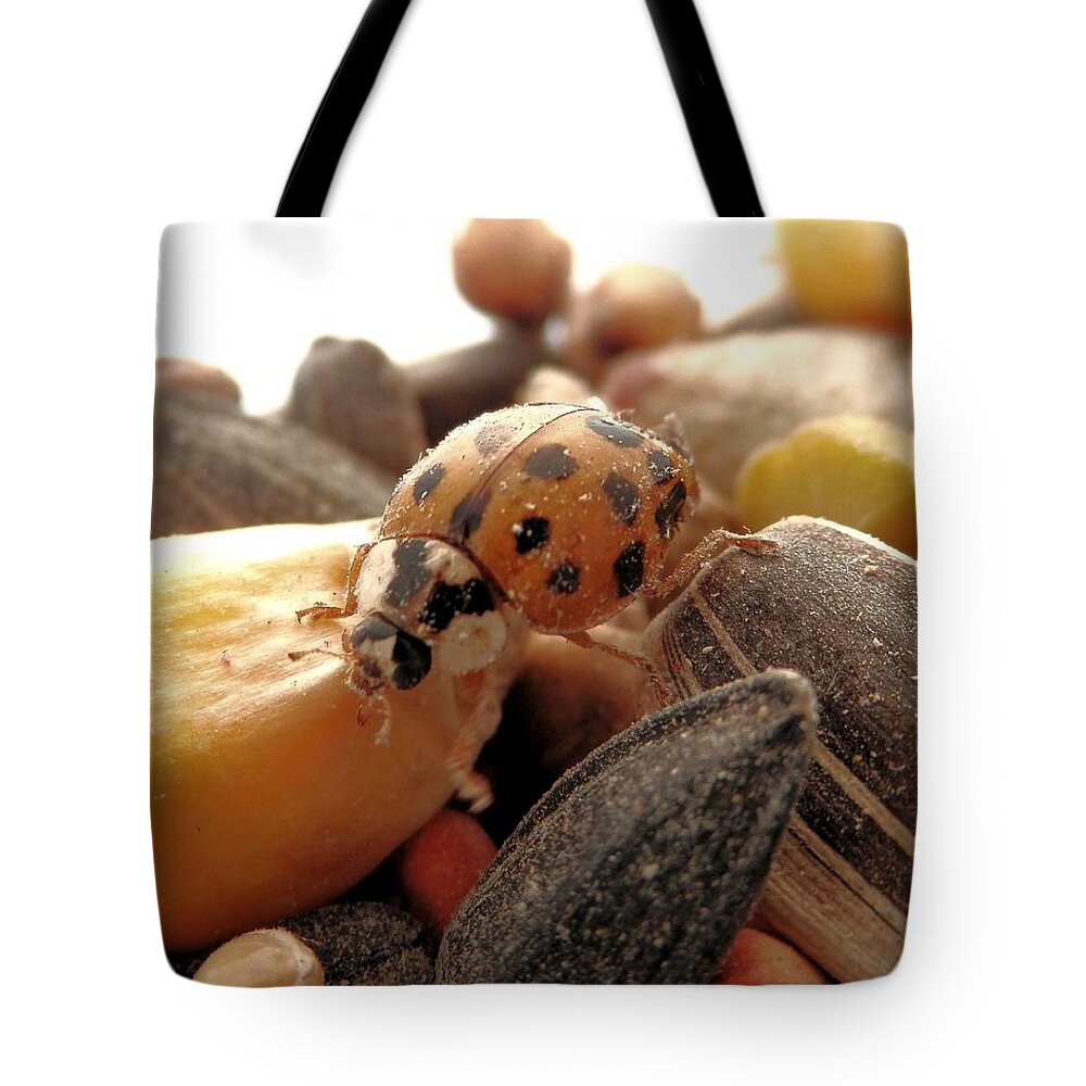 In The Squirrel Food Tote Bag featuring the photograph Ladybug On The Run by Belinda Lee