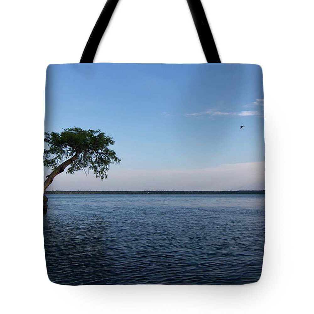 Lake Tote Bag featuring the photograph Lake Disston Cypress #2 by Paul Rebmann