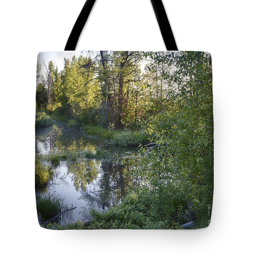 Idaho Tote Bag featuring the photograph Lake Fork Creek by Idaho Scenic Images Linda Lantzy
